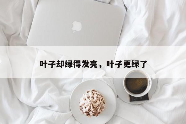叶子却绿得发亮，叶子更绿了-第1张图片-我家生活百科