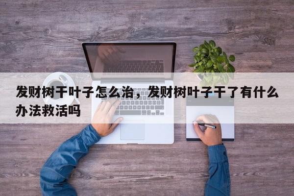 发财树干叶子怎么治，发财树叶子干了有什么办法救活吗-第1张图片-我家生活百科