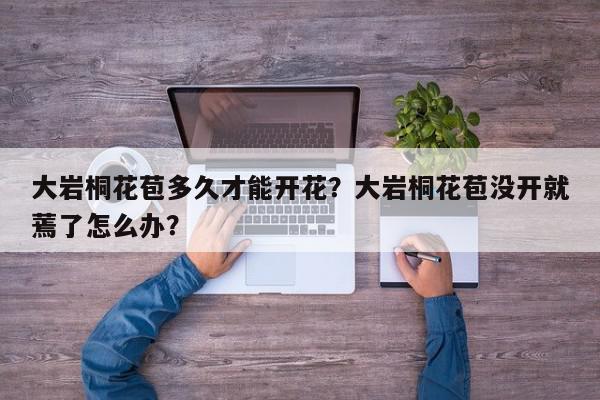 大岩桐花苞多久才能开花？大岩桐花苞没开就蔫了怎么办？-第1张图片-我家生活百科