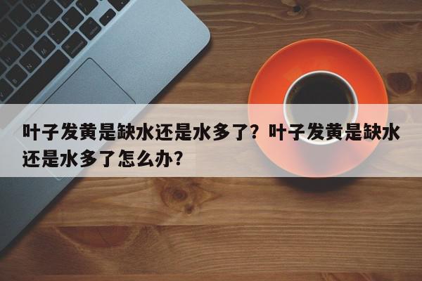 叶子发黄是缺水还是水多了？叶子发黄是缺水还是水多了怎么办？-第1张图片-我家生活百科
