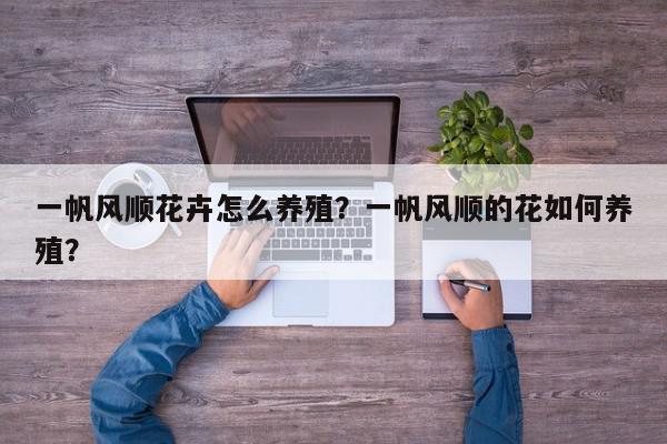 一帆风顺花卉怎么养殖?一帆风顺的花如何养殖?-第1张图片-我家生活百科 一帆风顺花卉怎么养殖?一帆风顺的花如何养殖?-第1张图片-我家生活百科