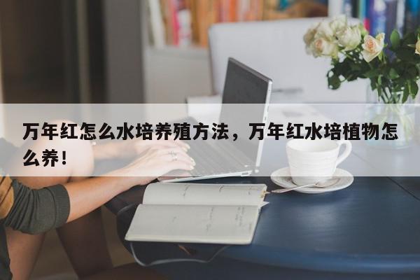 万年红怎么水培养殖方法，万年红水培植物怎么养！-第1张图片-我家生活百科