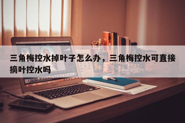 三角梅控水掉叶子怎么办,三角梅控水可直接摘叶控水吗-第1张图片-我家生活百科 三角梅控水掉叶子怎么办,三角梅控水可直接摘叶控水吗-第1张图片-我家生活百科