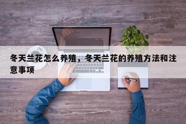 冬天兰花怎么养殖，冬天兰花的养殖方法和注意事项-第1张图片-我家生活百科