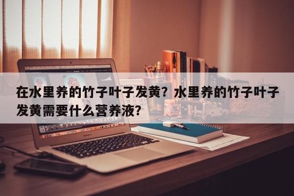 在水里养的竹子叶子发黄?水里养的竹子叶子发黄需要什么营养液?-第1张图片-我家生活百科 在水里养的竹子叶子发黄?水里养的竹子叶子发黄需要什么营养液?-第1张图片-我家生活百科