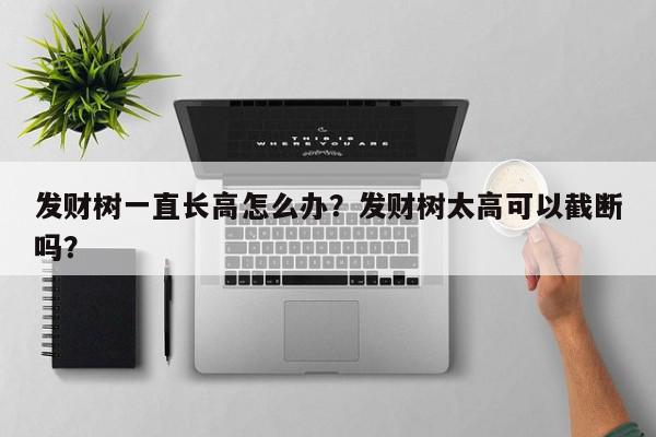 发财树一直长高怎么办?发财树太高可以截断吗?-第1张图片-我家生活百科 发财树一直长高怎么办?发财树太高可以截断吗?-第1张图片-我家生活百科