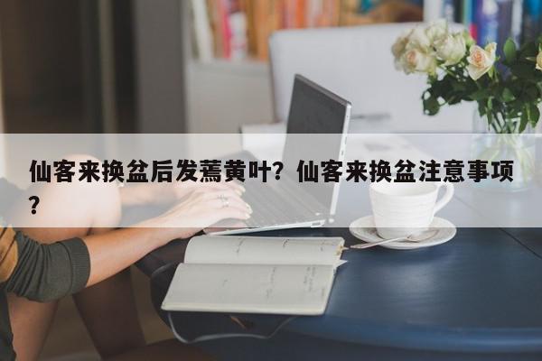 仙客来换盆后发蔫黄叶？仙客来换盆注意事项？-第1张图片-我家生活百科