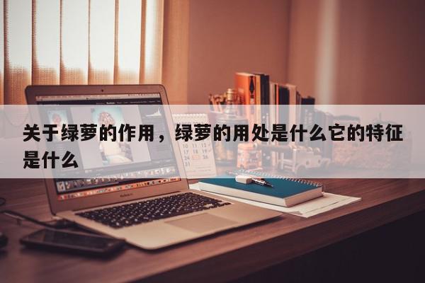 关于绿萝的作用，绿萝的用处是什么它的特征是什么-第1张图片-我家生活百科