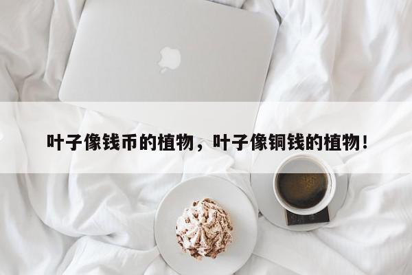 叶子像钱币的植物,叶子像铜钱的植物!-第1张图片-我家生活百科 叶子像钱币的植物,叶子像铜钱的植物!-第1张图片-我家生活百科
