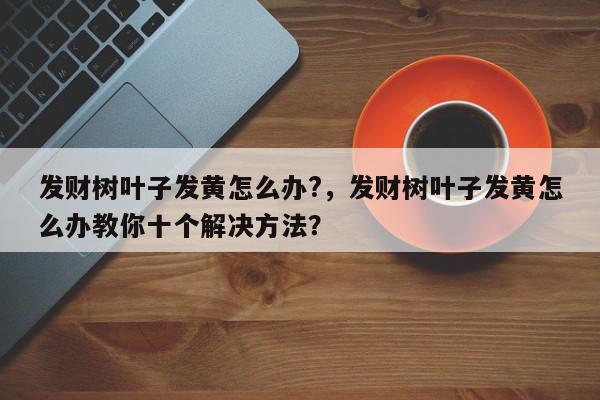 发财树叶子发黄怎么办?,发财树叶子发黄怎么办教你十个解决方法?-第1张图片-我家生活百科 发财树叶子发黄怎么办?,发财树叶子发黄怎么办教你十个解决方法?-第1张图片-我家生活百科