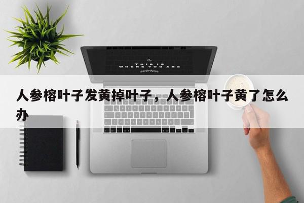 人参榕叶子发黄掉叶子，人参榕叶子黄了怎么办-第1张图片-我家生活百科