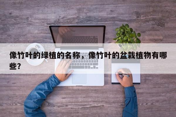 像竹叶的绿植的名称,像竹叶的盆栽植物有哪些?-第1张图片-我家生活百科 像竹叶的绿植的名称,像竹叶的盆栽植物有哪些?-第1张图片-我家生活百科