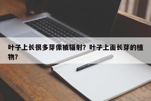 叶子上长很多芽像被辐射？叶子上面长芽的植物？-第1张图片-我家生活百科