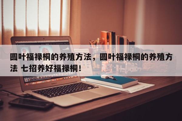 圆叶福禄桐的养殖方法，圆叶福禄桐的养殖方法 七招养好福禄桐！-第1张图片-我家生活百科