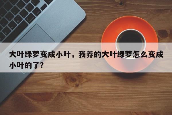 大叶绿萝变成小叶，我养的大叶绿萝怎么变成小叶的了？-第1张图片-我家生活百科