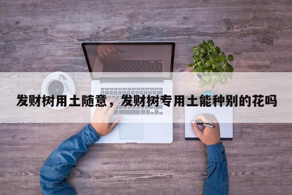 发财树用土随意，发财树专用土能种别的花吗-第1张图片-我家生活百科