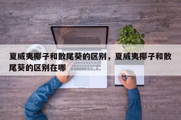 夏威夷椰子和散尾葵的区别，夏威夷椰子和散尾葵的区别在哪-第1张图片-我家生活百科