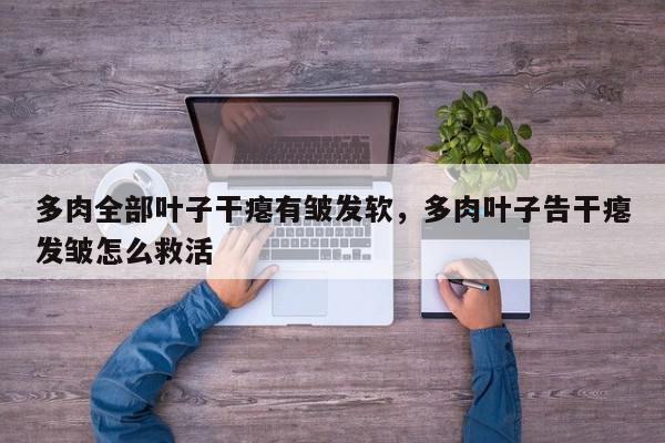 多肉全部叶子干瘪有皱发软,多肉叶子告干瘪发皱怎么救活-第1张图片-我家生活百科 多肉全部叶子干瘪有皱发软,多肉叶子告干瘪发皱怎么救活-第1张图片-我家生活百科