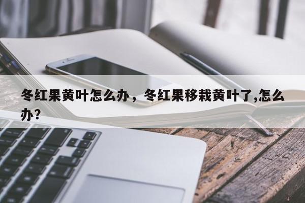 冬红果黄叶怎么办，冬红果移栽黄叶了,怎么办？-第1张图片-我家生活百科