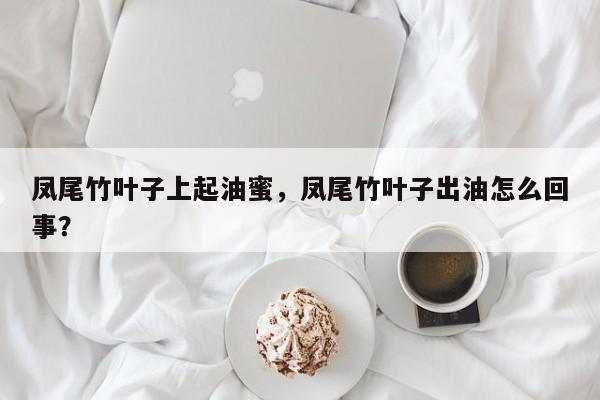 凤尾竹叶子上起油蜜，凤尾竹叶子出油怎么回事？-第1张图片-我家生活百科
