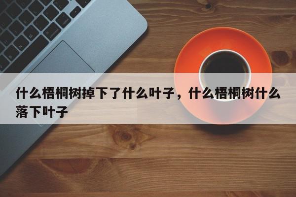 什么梧桐树掉下了什么叶子,什么梧桐树什么落下叶子-第1张图片-我家生活百科 什么梧桐树掉下了什么叶子,什么梧桐树什么落下叶子-第1张图片-我家生活百科