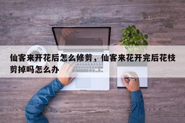 仙客来开花后怎么修剪，仙客来花开完后花枝剪掉吗怎么办-第1张图片-我家生活百科