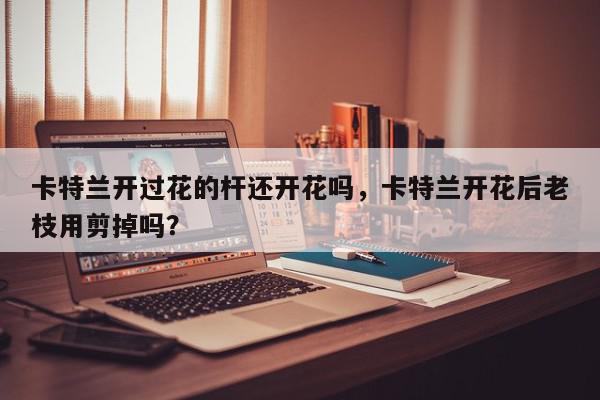 卡特兰开过花的杆还开花吗，卡特兰开花后老枝用剪掉吗？-第1张图片-我家生活百科