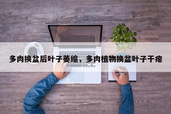 多肉换盆后叶子萎缩，多肉植物换盆叶子干瘪-第1张图片-我家生活百科