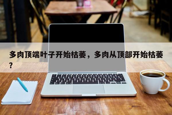 多肉顶端叶子开始枯萎,多肉从顶部开始枯萎?-第1张图片-我家生活百科 多肉顶端叶子开始枯萎,多肉从顶部开始枯萎?-第1张图片-我家生活百科