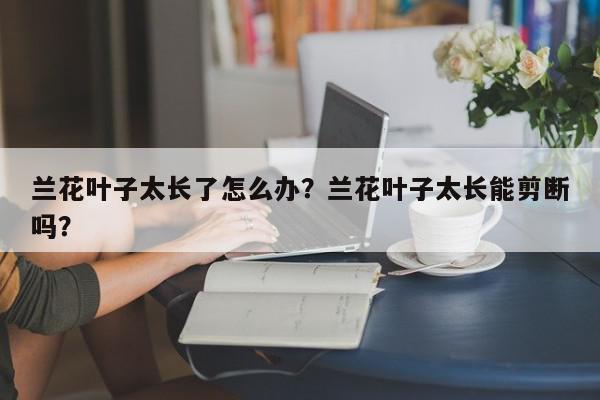 兰花叶子太长了怎么办？兰花叶子太长能剪断吗？-第1张图片-我家生活百科
