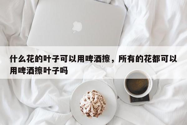 什么花的叶子可以用啤酒擦，所有的花都可以用啤酒擦叶子吗-第1张图片-我家生活百科