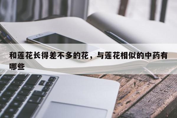 和莲花长得差不多的花，与莲花相似的中药有哪些-第1张图片-我家生活百科