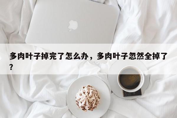 多肉叶子掉完了怎么办，多肉叶子忽然全掉了？-第1张图片-我家生活百科