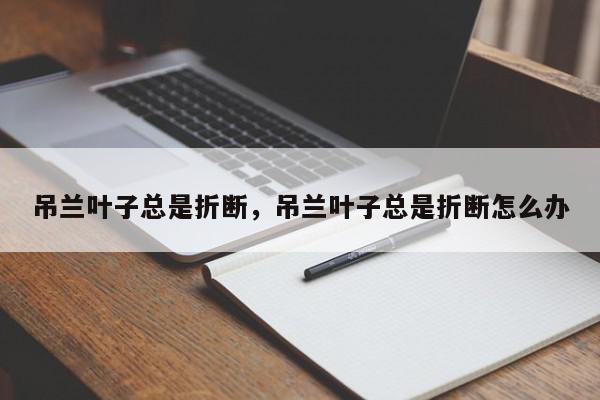 吊兰叶子总是折断，吊兰叶子总是折断怎么办-第1张图片-我家生活百科