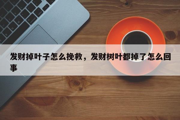 发财掉叶子怎么挽救，发财树叶都掉了怎么回事-第1张图片-我家生活百科