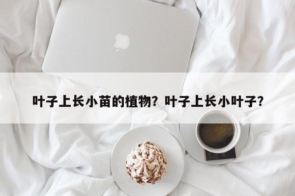 叶子上长小苗的植物？叶子上长小叶子？-第1张图片-我家生活百科