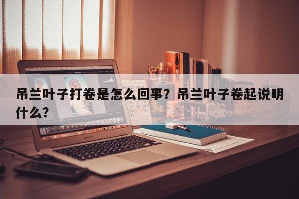 吊兰叶子打卷是怎么回事？吊兰叶子卷起说明什么？-第1张图片-我家生活百科