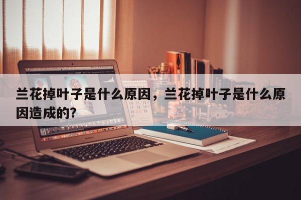 兰花掉叶子是什么原因，兰花掉叶子是什么原因造成的？-第1张图片-我家生活百科