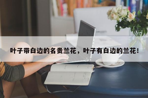叶子带白边的名贵兰花，叶子有白边的兰花！-第1张图片-我家生活百科