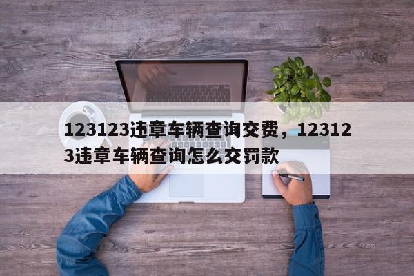 123123违章车辆查询交费，123123违章车辆查询怎么交罚款-第1张图片-我家生活百科