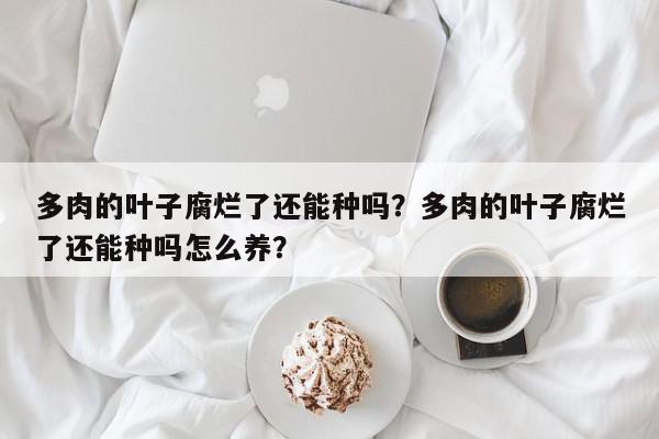 多肉的叶子腐烂了还能种吗？多肉的叶子腐烂了还能种吗怎么养？-第1张图片-我家生活百科