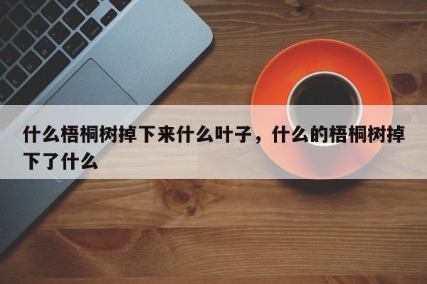 什么梧桐树掉下来什么叶子,什么的梧桐树掉下了什么-第1张图片-我家生活百科 什么梧桐树掉下来什么叶子,什么的梧桐树掉下了什么-第1张图片-我家生活百科