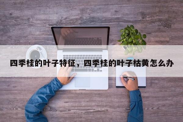 四季桂的叶子特征，四季桂的叶子枯黄怎么办-第1张图片-我家生活百科