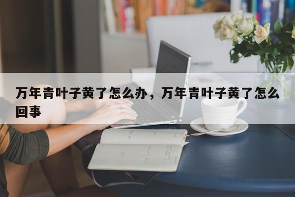 万年青叶子黄了怎么办，万年青叶子黄了怎么回事-第1张图片-我家生活百科
