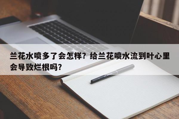 兰花水喷多了会怎样？给兰花喷水流到叶心里会导致烂根吗？-第1张图片-我家生活百科