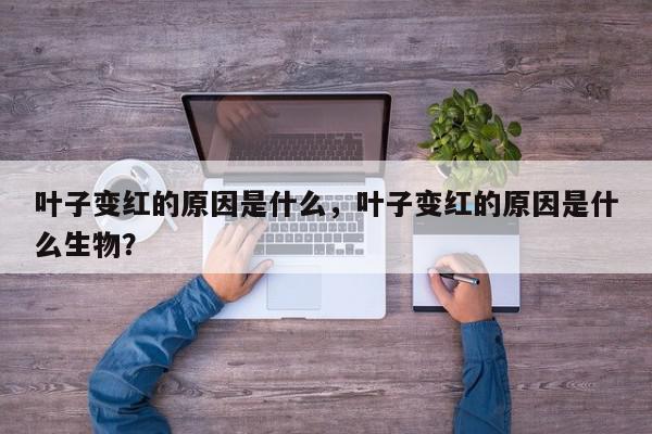 叶子变红的原因是什么,叶子变红的原因是什么生物?-第1张图片-我家生活百科 叶子变红的原因是什么,叶子变红的原因是什么生物?-第1张图片-我家生活百科