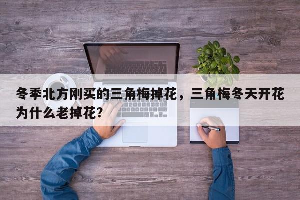 冬季北方刚买的三角梅掉花,三角梅冬天开花为什么老掉花?-第1张图片-我家生活百科 冬季北方刚买的三角梅掉花,三角梅冬天开花为什么老掉花?-第1张图片-我家生活百科