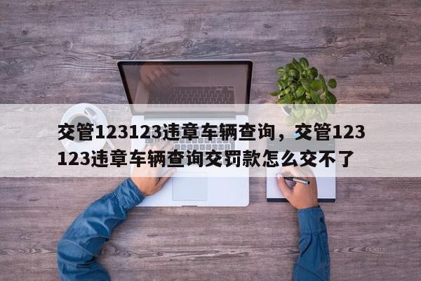交管123123违章车辆查询，交管123123违章车辆查询交罚款怎么交不了-第1张图片-我家生活百科