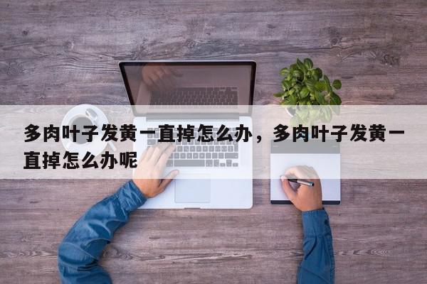 多肉叶子发黄一直掉怎么办,多肉叶子发黄一直掉怎么办呢-第1张图片-我家生活百科 多肉叶子发黄一直掉怎么办,多肉叶子发黄一直掉怎么办呢-第1张图片-我家生活百科