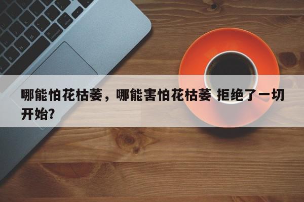 哪能怕花枯萎，哪能害怕花枯萎 拒绝了一切开始？-第1张图片-我家生活百科